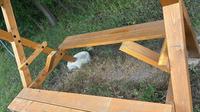 Item_Images